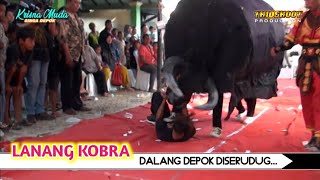 DALANG DEPOKE DISURUNG KEBO IRENG  Singa Depok KRISNA MUDA [upl. by Ib]