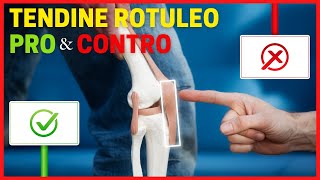 Vantaggi e svantaggi del TENDINE ROTULEO nella ricostruzione del CROCIATO ANTERIORE 🟢🔴 [upl. by Harriot]