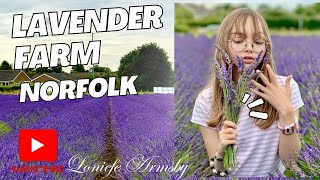 Lavender Farm Norfolk family day outEnglish country side nature lover [upl. by Eelsha]