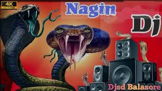 Nagin Dhun Vs Murga Dance Dj Songs  Odia Dj Songs Sambalpuri Dj Song Odia Dj Songs [upl. by Hcra]