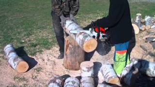 Cięcie drewna pilarką w klocki  Chainsaw cutting wood [upl. by Melvin435]