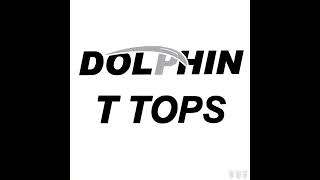 Dolphin boat t top Pro SE is [upl. by Elleunamme837]