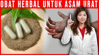 5 Obat Herbal Murah Alami Indonesia untuk Sembukan Asam Urat [upl. by Boyse962]