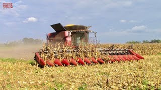 16 row Corn Combine Case IH 8240 AxialFlow [upl. by Ailey]