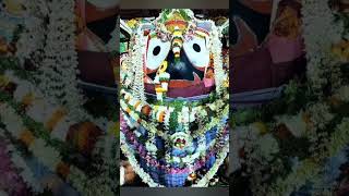 Jagannath tume Parambrahma bhajan status 🙏🙏🙏🙏🙏🙏🙏 [upl. by Nuawed]