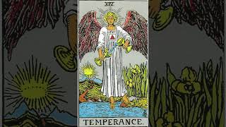 Extracto video original La Templanza tarot latemplanza [upl. by Huxley947]