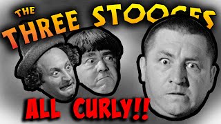 The THREE STOOGES  ALL CURLY Film Festival  10 HOURS [upl. by Sukhum]