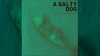 quotA Salty Dogquot  Bellabeth Lyric Video [upl. by Tristan]