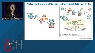 Young Investigator Award Lija Swain PhD  Tufts Medical Center [upl. by Lennaj]