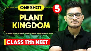 PLANT KINGDOM  Complete Chapter in One Video  ConceptsPYQs  Class 11th NEET [upl. by Brannon]