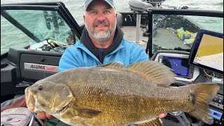 Big Prespawn Smallmouth Bass [upl. by Ttirb]