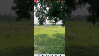 low budget dtcp rera approved plots for sales nilam kovilpatti lingampatti [upl. by Tnairb]