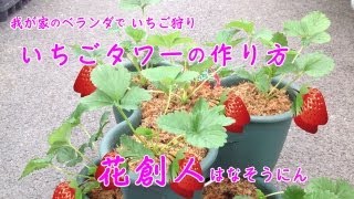 いちご狩りからベランダ栽培へ！【いちごタワーの作り方amp育て方】8分動画／花創人はなそうにん岐阜愛知寄せ植えハンギングバスケット教室 [upl. by Kciredor]