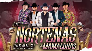 Las Norteñas Más Mamalonas del 2021  By Dj Alfred  EXITOS 2021  La Fiera Rienda Real La Fe [upl. by Cassiani]