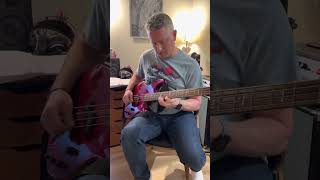 Éric featuring new order thieves like us bass cover [upl. by Hteboj]