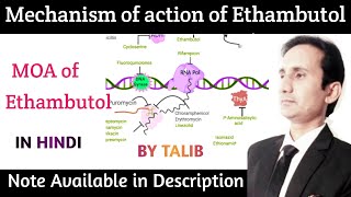 Mechanism of Action of Ethambutol In Hindi  Mechanism of Action of Antitubercular Drugs [upl. by Yetta]