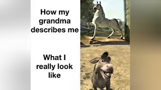 Hilarious Grandmother Memes  Meme Compilation [upl. by Coheman]