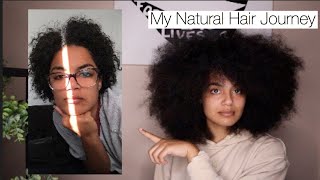 MY NATURAL HAIR JOURNEY  10 Years of Relaxers  4 Years of being Natural [upl. by Ayoj]