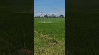 Insecticide spraying agriculturedrone farming drone djidrone dji t40 [upl. by Hobey181]