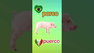 🇧🇷porco vs puerco 🇲🇽 [upl. by Andre517]