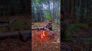 Sometimes a campfire and nature are all you need wilderness camping woodland campfire [upl. by Imoen]