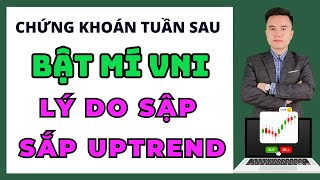 Chứng Khoán Hôm Nay  Nhận Định THị Trường  Bật mí lý do thị trường sắp uptrend [upl. by Northrup]