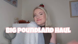 POUNDLAND HAULNovember 2024 [upl. by Litnahc]