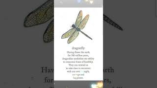 Dragonflies symbolizes our ability [upl. by Linsk661]