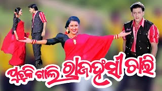 Puchuki Gali Recreated Version 2024  New Odia Song 2024  Puchuki gali Phesan Bali [upl. by Ellerd]