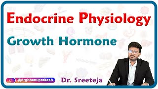 Growth Hormone  Endocrine Physiology USMLE Step 1 [upl. by Sirroned]