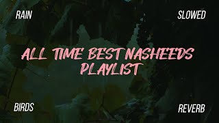 5 Nasheed which is everyones all time favorite  Nasheeds Playlist  Hashnooor [upl. by Wemolohtrab]