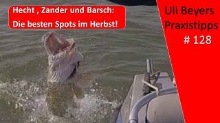 Hecht  Barsch und Zander Angeln im Herbst  2  Angeln am Rhein in Holland [upl. by Ahsratal]