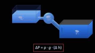 Hydrostatic Pressure Fluid Mechanics  Lesson 3 [upl. by Tymes]