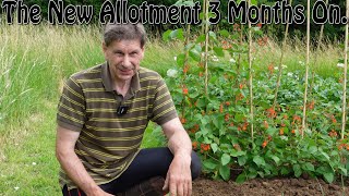 The New Allotment 3 Months On [upl. by Dhaf]