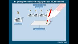 Questce que la chromatographie sur couche mince CCM [upl. by Onidranreb568]