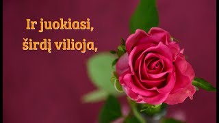 Sveikinu su Kovo 8 ąja  🌷♫♬♪❤ [upl. by Philips]