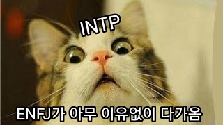 INTP와 ENFJ의 관계  INTP 사용설명서 312 [upl. by Nytsirhc]