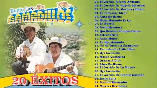 Dueto Los Armadillos Mis Tiempos Pasados  Dueto Los Armadillos 20 Exitos De Rancheras Mix [upl. by Ainoval776]