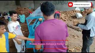 Pemakaian Mesin Pengupas Kelapa di Pabrik Kelapa untuk Kopra [upl. by Osnofedli514]