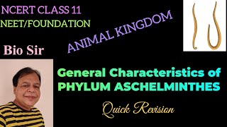 Aschelminthes Class 11 NCERT Animal Kingdom [upl. by Curtis]