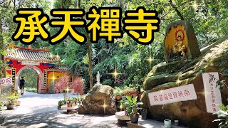 【新北景點】166承天禪寺是間莊嚴樸素白牆綠瓦建築的寺院，院內清靜優雅安寧人心。往寺院的朝山步道景色優美整路充滿佛意，在每年的四五月桐花祭時，更是新北最佳的賞花旅遊景點之一，來此健行或禮佛都很不錯～ [upl. by Conlin]