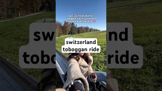 bucket list toboggan ride in switzerland ✅🇨🇭 swizterland toboggan tobogganing [upl. by Rramel]