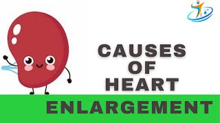 Causes Of Heart Enlargement [upl. by Calvinna]