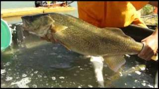 Lake Diefenbaker  Fishing [upl. by Mano]