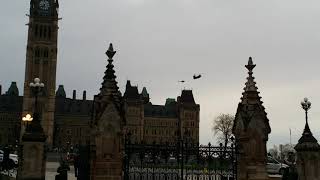 Chinook Helicopter Landing on Parliament Hill [upl. by Aelgna651]