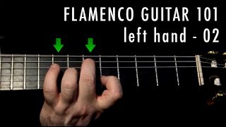 Flamenco Guitar 101  02  Left Hand 02 [upl. by Atinahc]