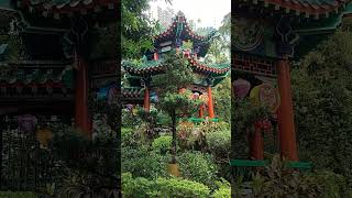 Inside view at Wong Tai Sin Temple shortsvideo highlightseveryone youtubers mychannel shorts [upl. by Neeneg894]