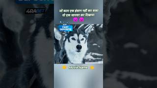 Hollywood movies explained in Hindi hollywoodmovieexplainedinhindi hollywoodmovie horrorstories [upl. by Aikkin294]