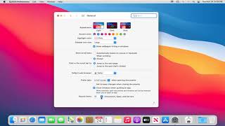 How to Manage  Clear Recent Items on MacBook Tutorial [upl. by Mihcaoj]