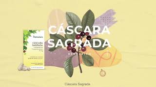 Cáscara Sagrada Herbarium [upl. by Funda477]